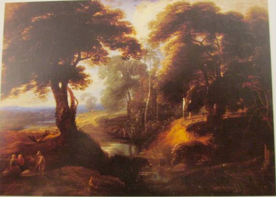 Wooded Landscape