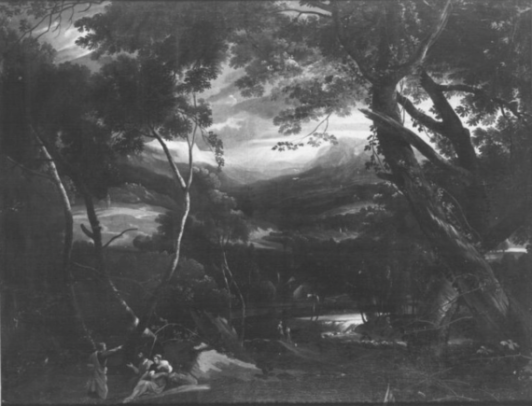 Ideal Landscape
