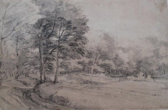 Woody Landscape with Road 