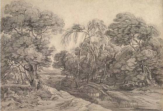 Forest Landscape