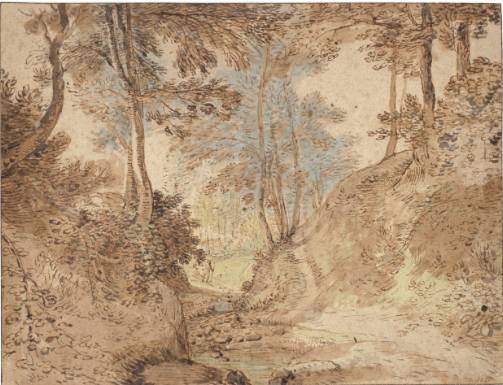 View in a Wood