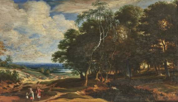 Forest Landscape in Dunes