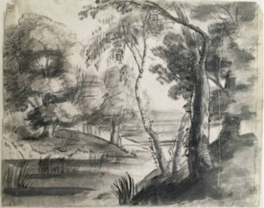 River Landcape