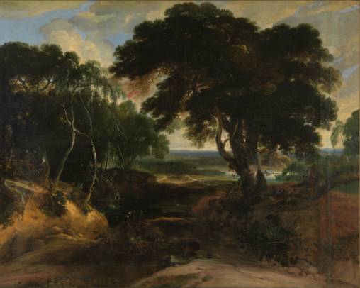 Wooded Landscape