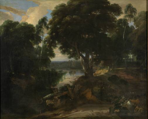 Wooded Landscape