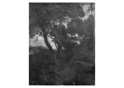 CB 5007: Landscape Work 5007: Landscape