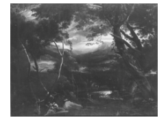 CB 5017: Ideal Landscape Work 5017: Ideal Landscape