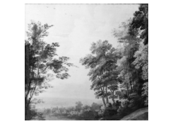CB 5025: Landscape Work 5025: Landscape