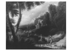 Work 5060: Hawking in an Animated Landscape