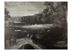 CB 5068: Forest Edge Work 5068: Forest Edge