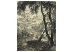 Work 5110: Landscape with Trees in the Foreground