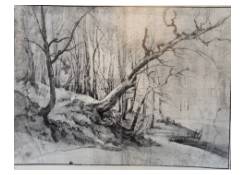 Work 5214: A Winter Scene with Trees on a Bank above a Frozen Stream