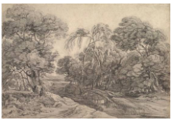 Work 590: Forest Landscape