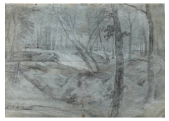 Work 632: View of a Forest Glade