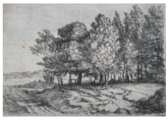 Work 700: Grove near a Path