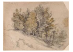 CB 5165: Dune Landscape Work 5165: Dune Landscape